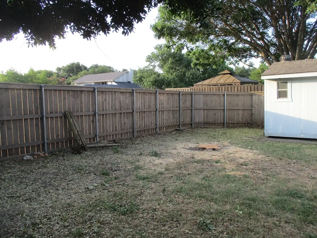 Cleared yard after professional tree removal in New Troy